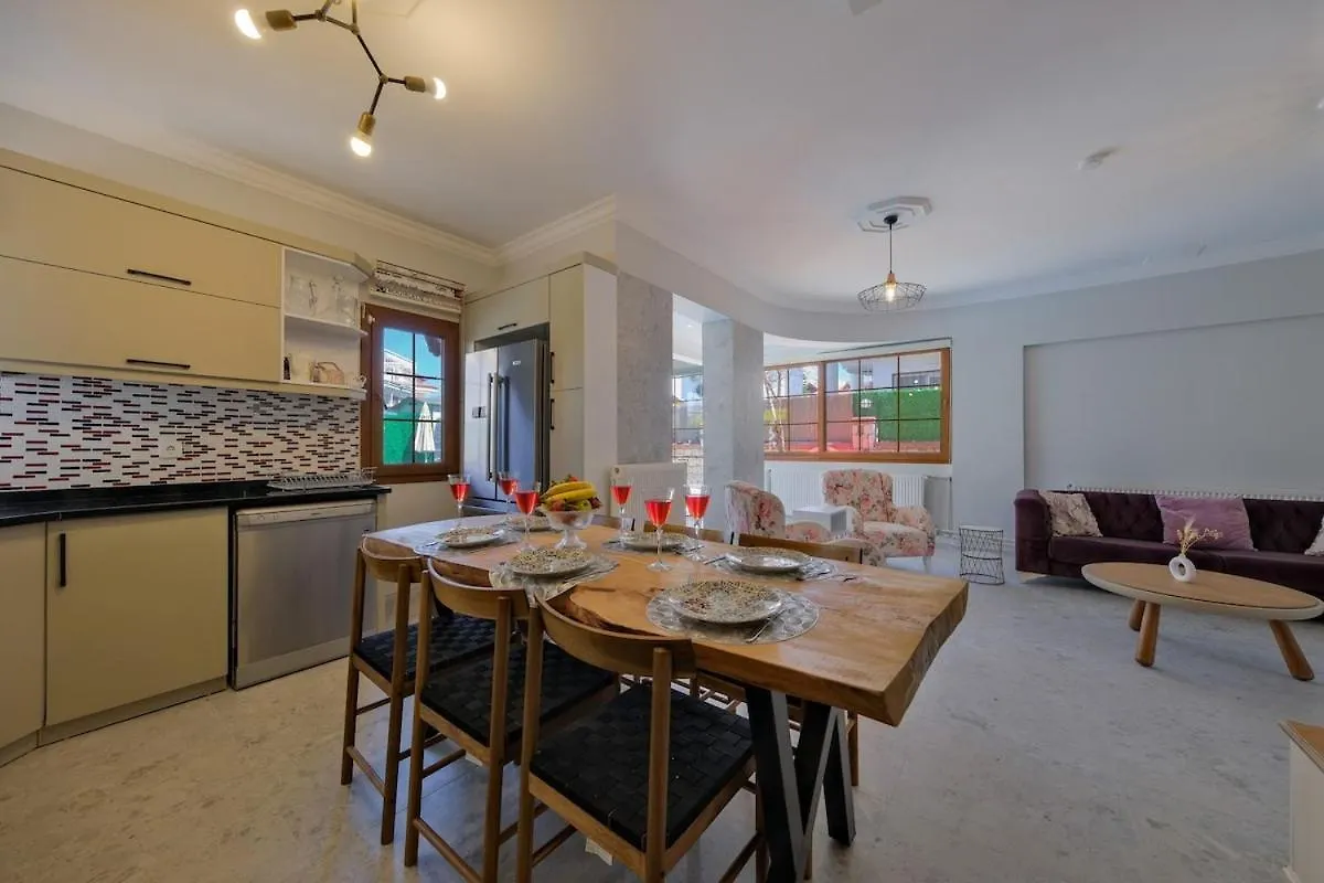 Ilyaholidayhomes Villa Ekinoks فتحية